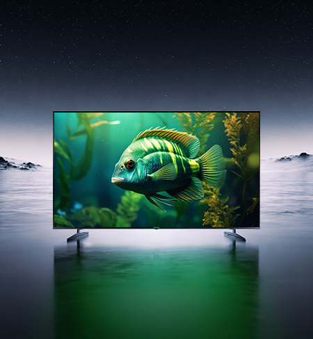 Lumio Vision 9 