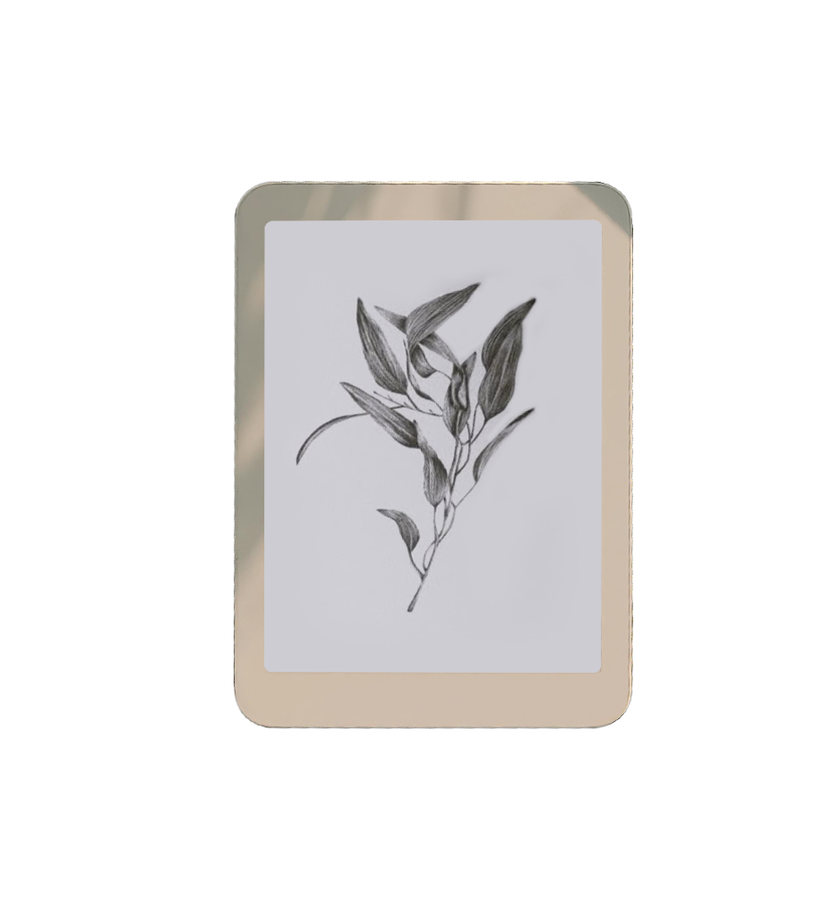 Daylight Computer's DC-1