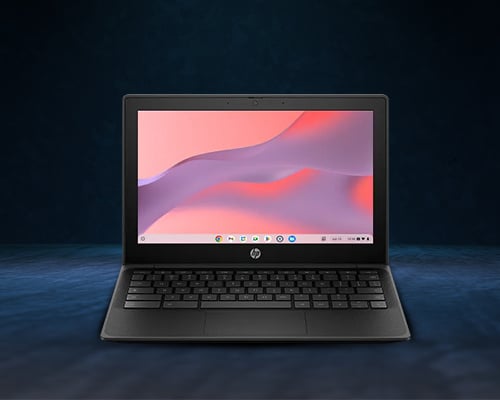 HP Fortis Flip